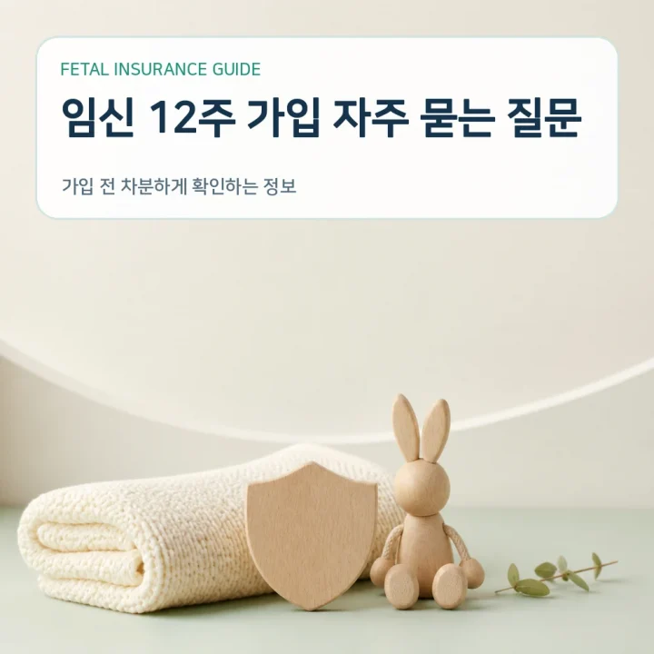 태아보험 임신 12주 가입 자주 묻는 질문