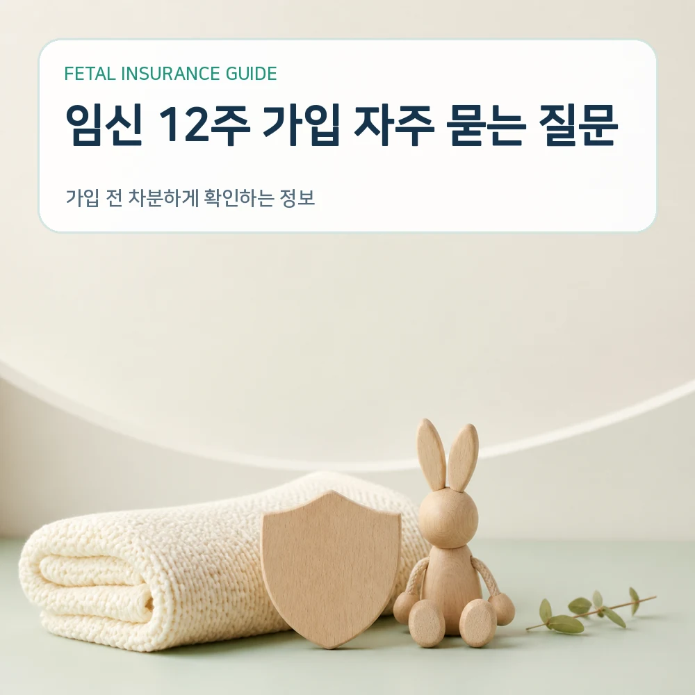 태아보험 임신 12주 가입 자주 묻는 질문